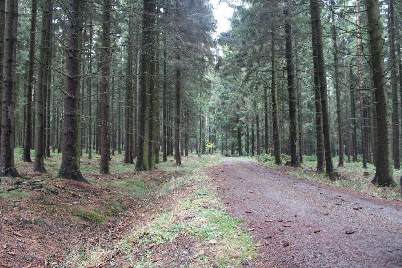 Zumseehoernchen Haus Schmetterling Tanna Esterno foto