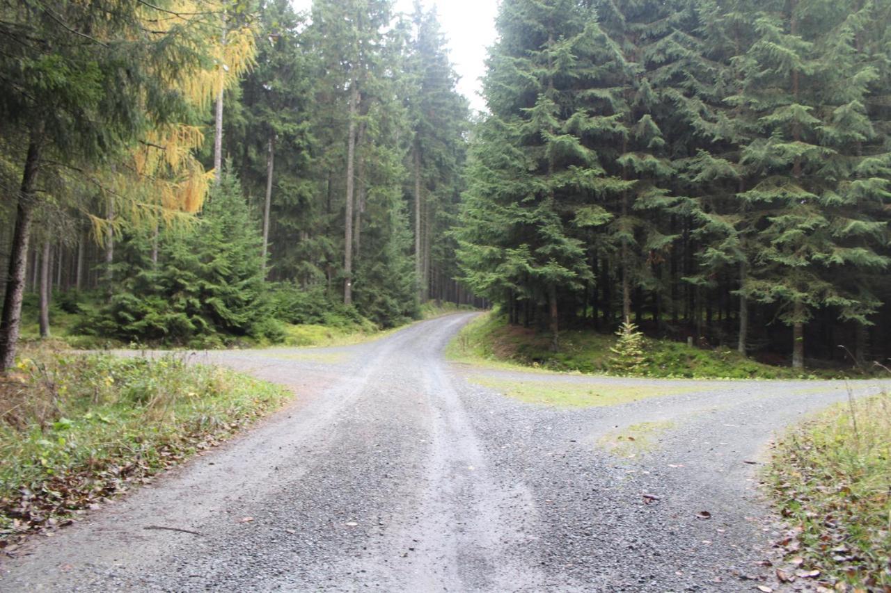 Zumseehoernchen Haus Schmetterling Tanna Esterno foto