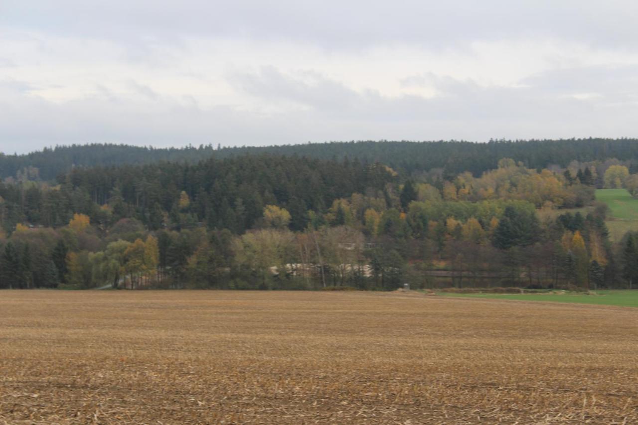 Zumseehoernchen Haus Schmetterling Tanna Esterno foto