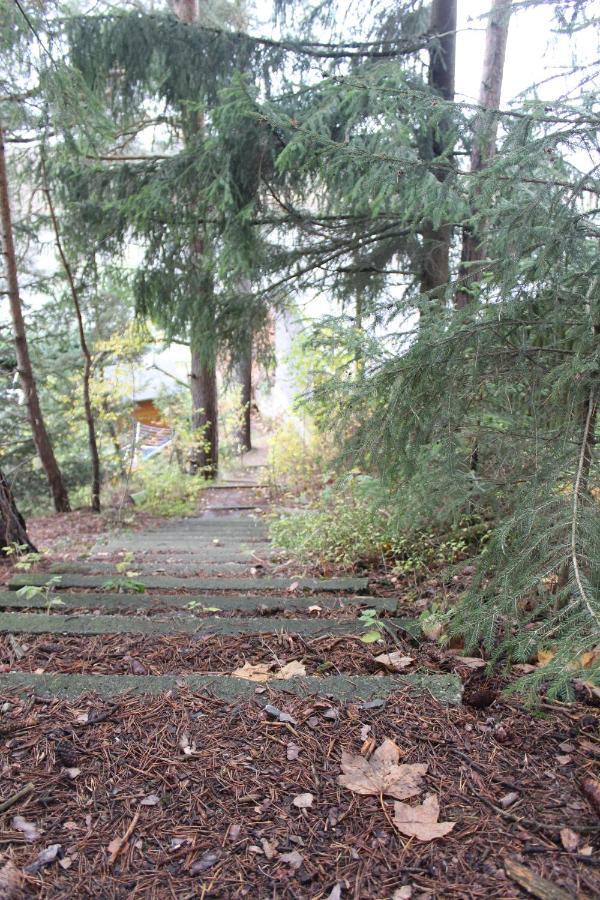 Zumseehoernchen Haus Schmetterling Tanna Esterno foto