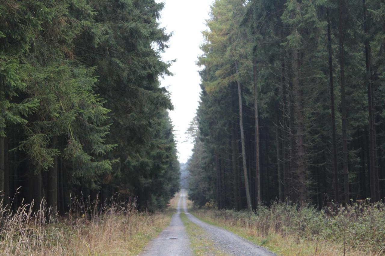 Zumseehoernchen Haus Schmetterling Tanna Esterno foto