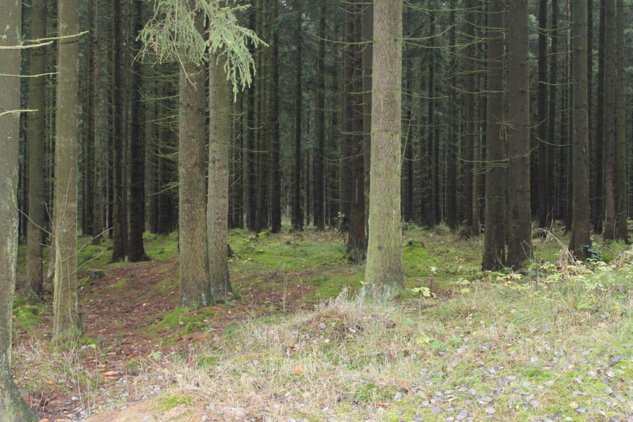 Zumseehoernchen Haus Schmetterling Tanna Esterno foto